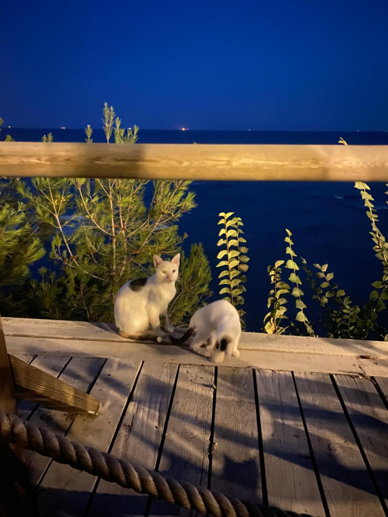 Pia Mare Otel Gunduzlu Esterno foto